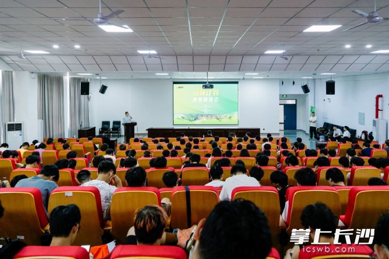 “马驹计划”宣讲会在长沙学院举办。长沙晚报通讯员供图