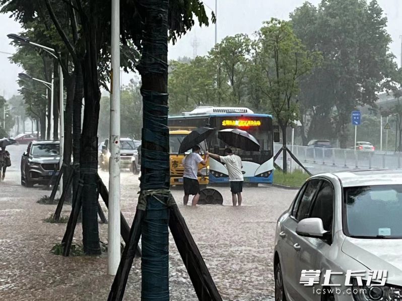 天心区的党员干部、志愿者等第一时间对积水路段进行排涝除险。 均为天心区供图
