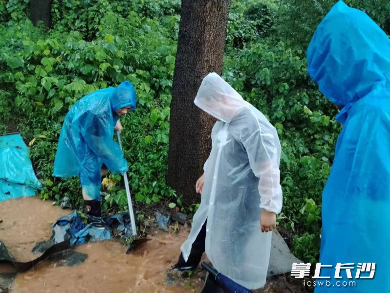 工作人员冒雨疏通排水设施。