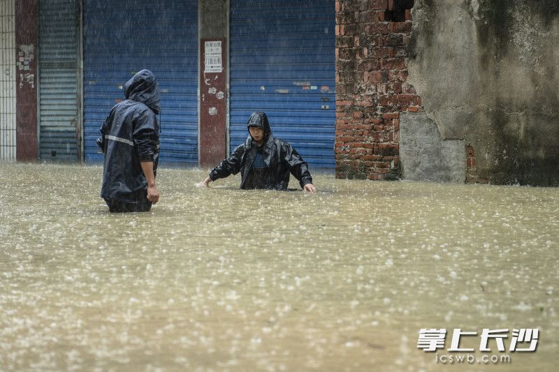 6月24日12时，湘江新区早谷塘二期安置区附近，岳麓蓝天救援队对一处低洼积水路段进行排涝。