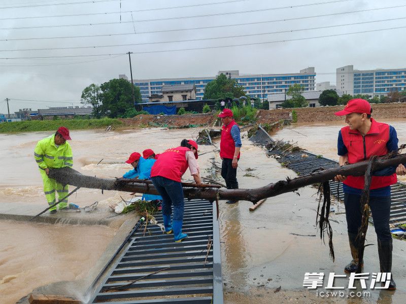 全市广大志愿者闻“汛”而动、冲锋在前。  均为市委社会工作部供图