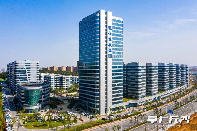 麓谷集团环创企业广场。