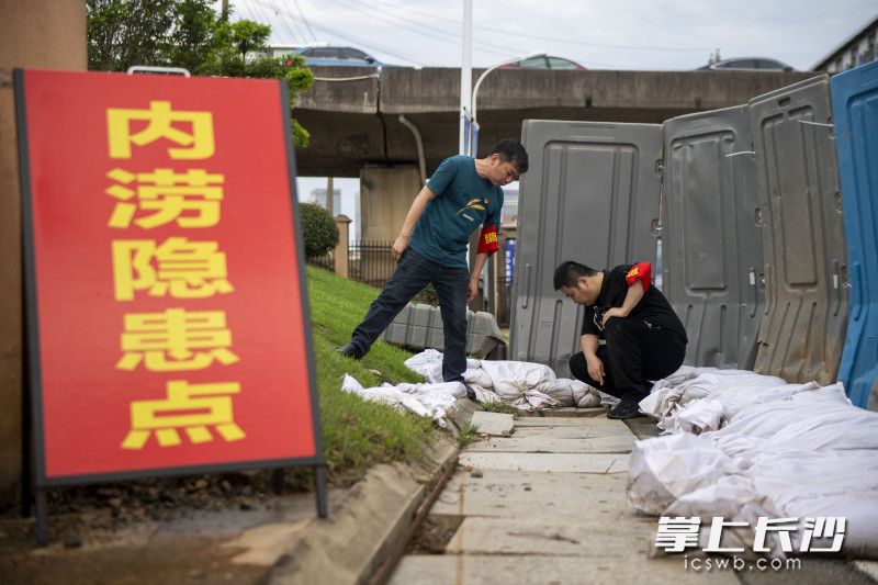 工作人员在查看龙王港内涝隐患点情况。均为长沙晚报全媒体记者 郭雨滴 摄