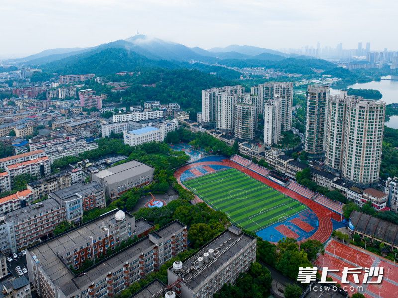 长沙教育名校扎堆，已成为越来越多人选择留在长沙、扎根长沙的原因。 长沙晚报全媒体记者 邹麟 摄