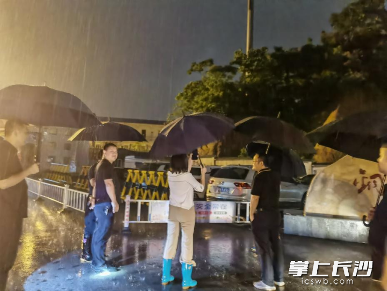 工作人员现场查看铁塔情况。  均为铜官街道供图