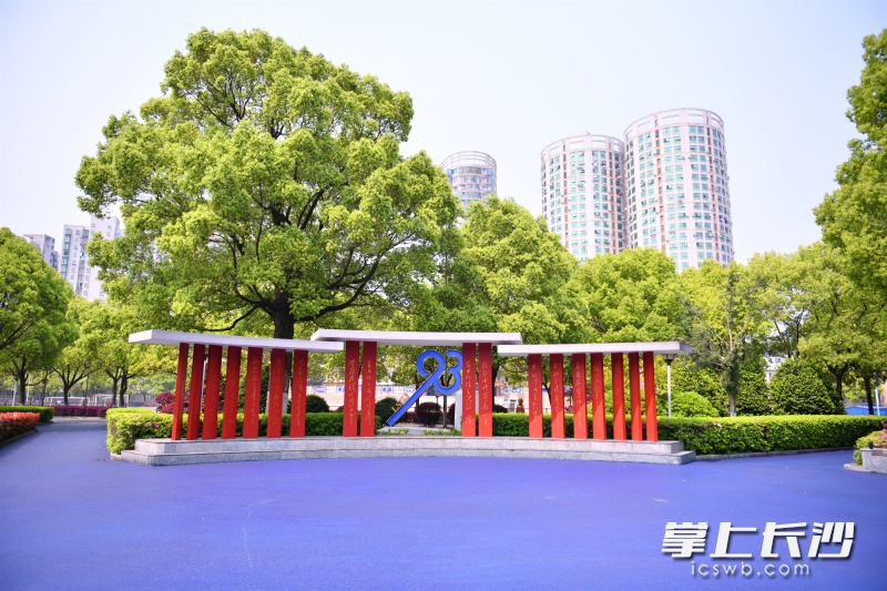 美丽的校园。学校供图