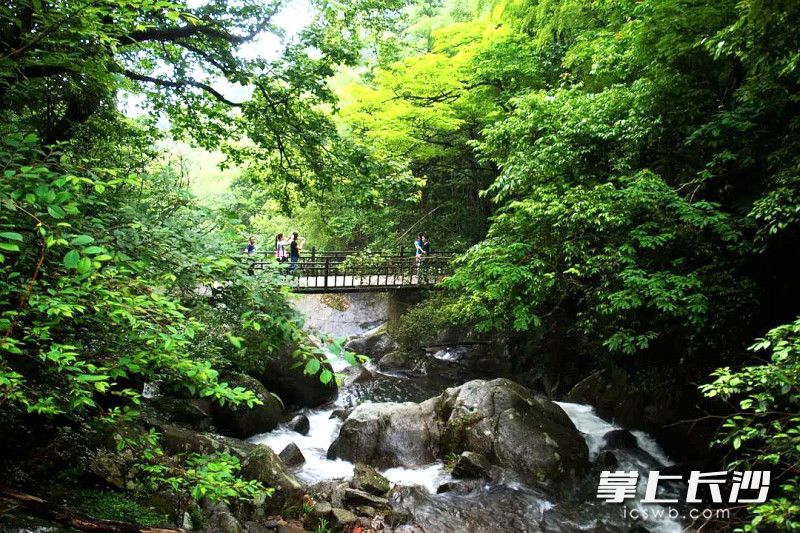 今日，大围山国家森林公园恢复开园。均为景区 供图