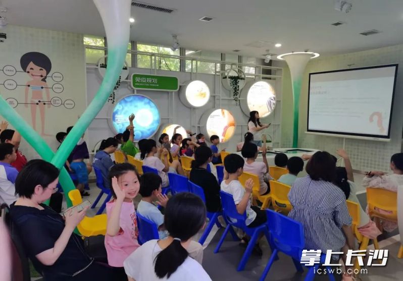 多媒体动画教学深受孩子们欢迎。均为受访方供图
