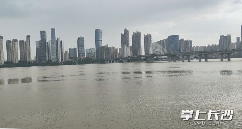 7月3日下午，在开福区老糠凼泵站观察到的湘江水位情况。