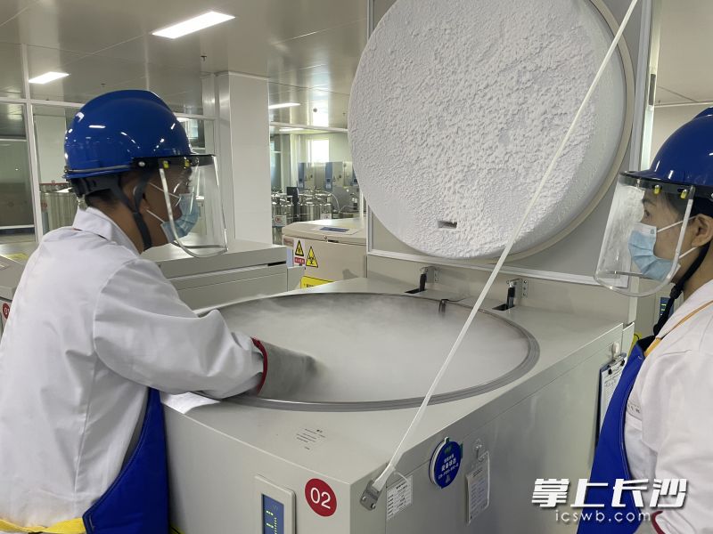 源品生物细胞保藏库内，工作人员正在冷冻存储细胞。图片均为长沙晚报全媒体记者 朱泽寰 摄