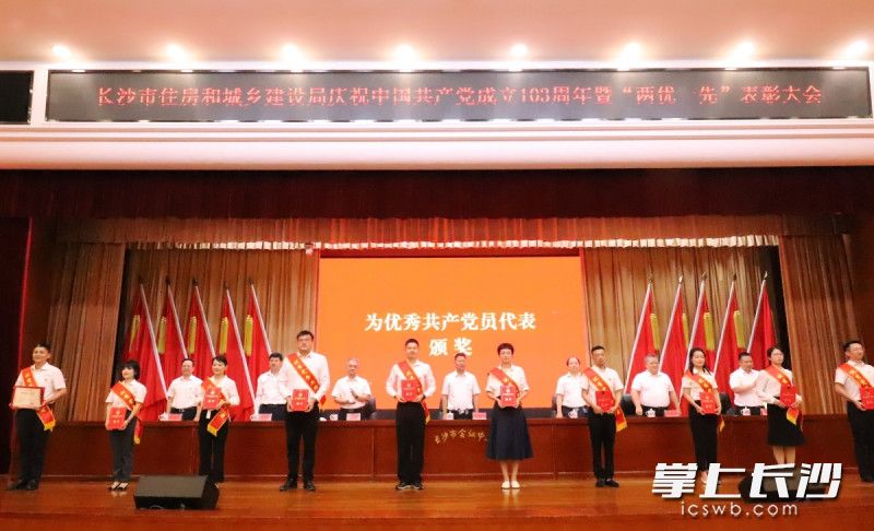 表彰大会为优秀共产党员代表颁奖。