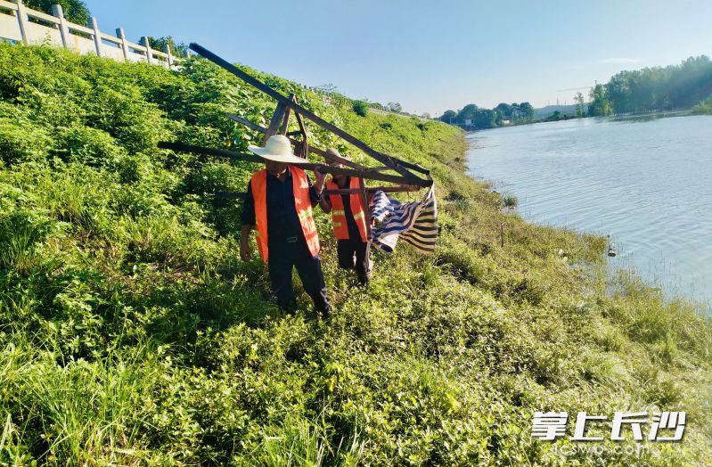 白沙河畔恢复秀美清爽。