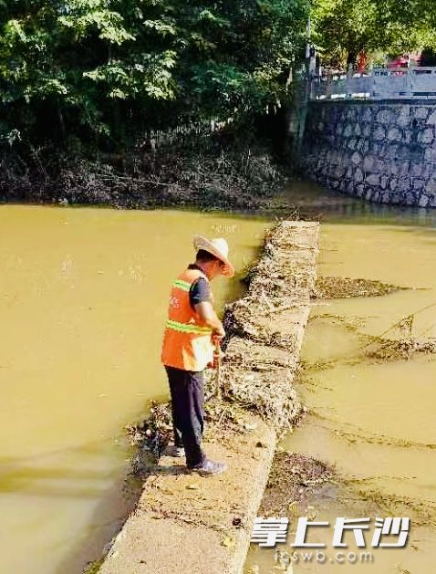党员干部和志愿者清理沟渠漂浮垃圾。 均为长沙晚报通讯员苏娇娇供图