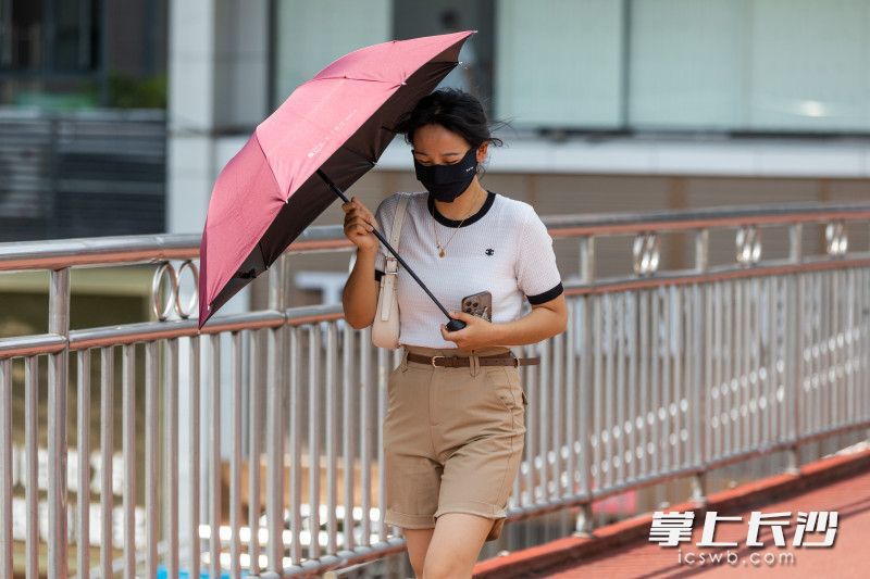 今日长沙天气炎热，许多女性都选择了伞具来遮挡烈日。  均为长沙晚报全媒体记者董阳摄