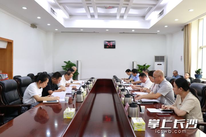 市领导领办重点提案办理协商会召开。长沙晚报通讯员 刘慧敏 摄
