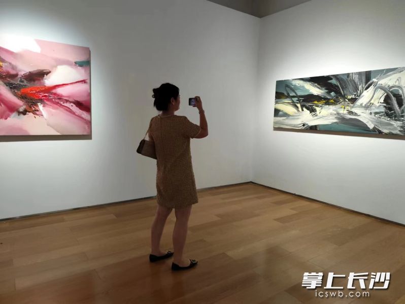 市民拍照打卡。均为长沙晚报全媒体记者 宁莎鸥 摄