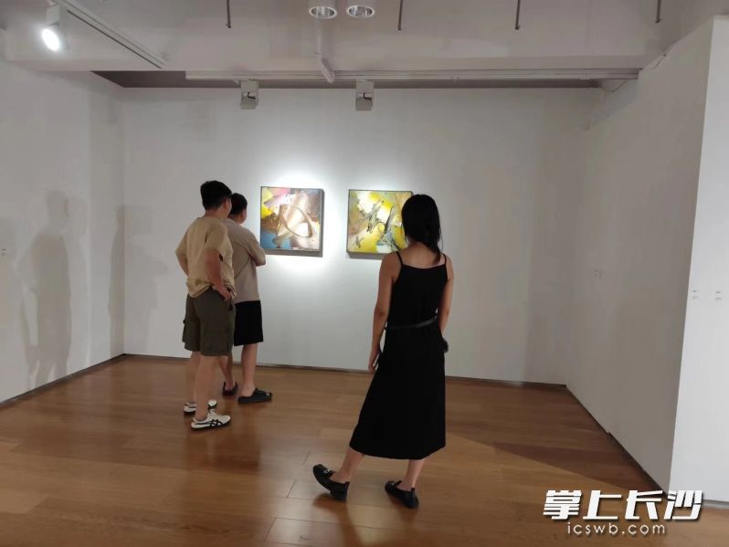 市民观展