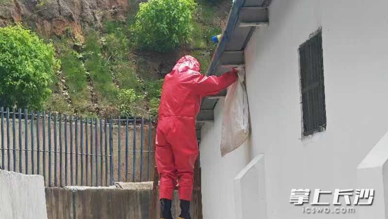 消防救援人员将蜂窝套入事先准备好的编织袋中。长沙晚报通讯员 余娜娜 供图