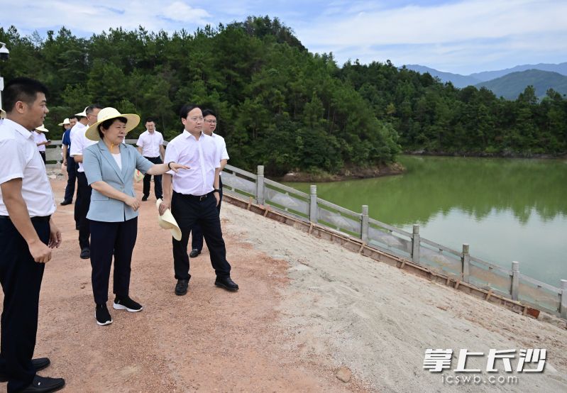 7月15日，省委常委、市委书记吴桂英在浏阳市关山水库检查病险水库治理工作。