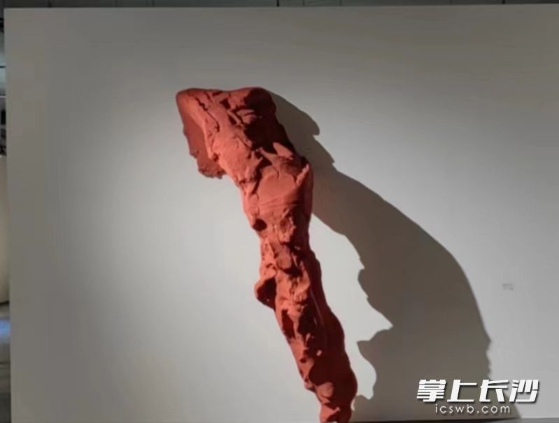 展览作品。 展览作品。