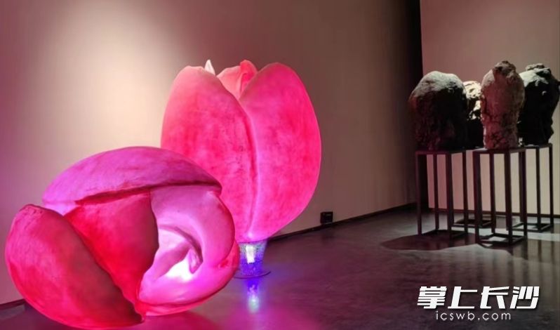 展览作品。均为湖南国画馆 供图 展览作品。均为湖南国画馆 供图