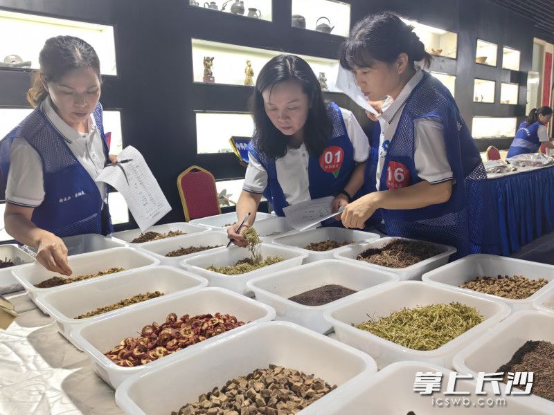 选手们参加中药鉴定项目。均为长沙晚报全媒体记者 匡小娟 摄
