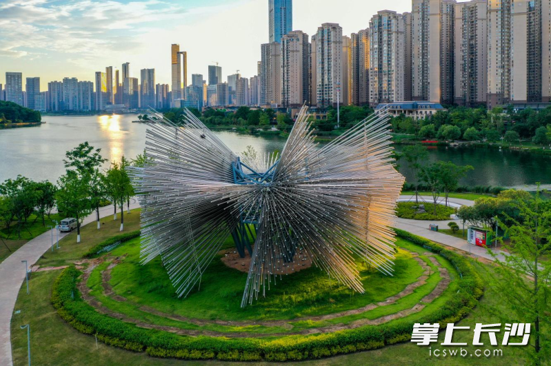 梅溪湖标志性雕塑“长沙之星”焕新亮相。长沙晚报通讯员 胡翔 摄