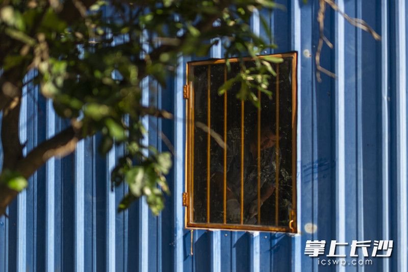 屋外是一片竹林、一方水塘为伴，两片菜地相随，一座普通的二层房屋，这是叮叮姑侄厨刀工坊。
