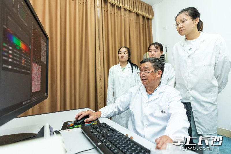 谭晓风教授（坐者）指导学生科研。 长沙晚报全媒体记者 董阳 摄