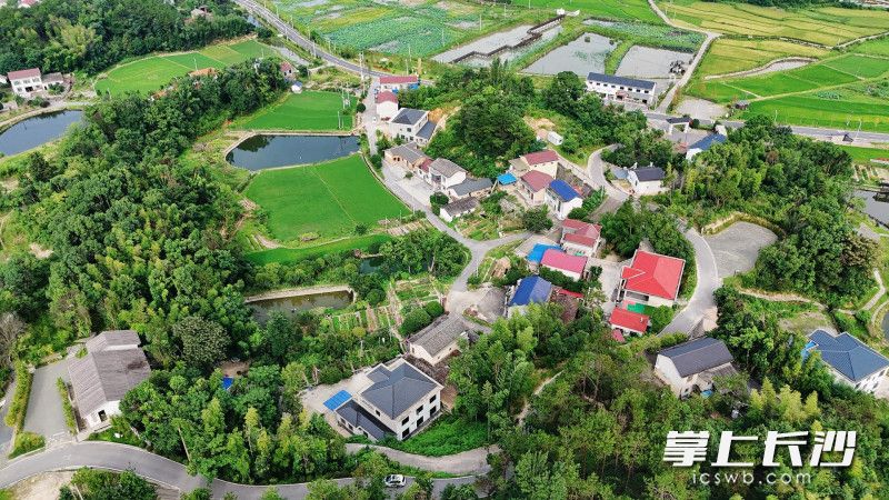金山美丽宜居示范片俯瞰图。均为长沙晚报通讯员 金利蓉 供图