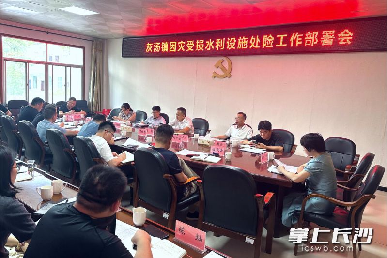 宁乡灰汤镇组织召开因灾受损水利设施处险工作部署会，有效保障下半年粮食安全生产。均为受访方供图