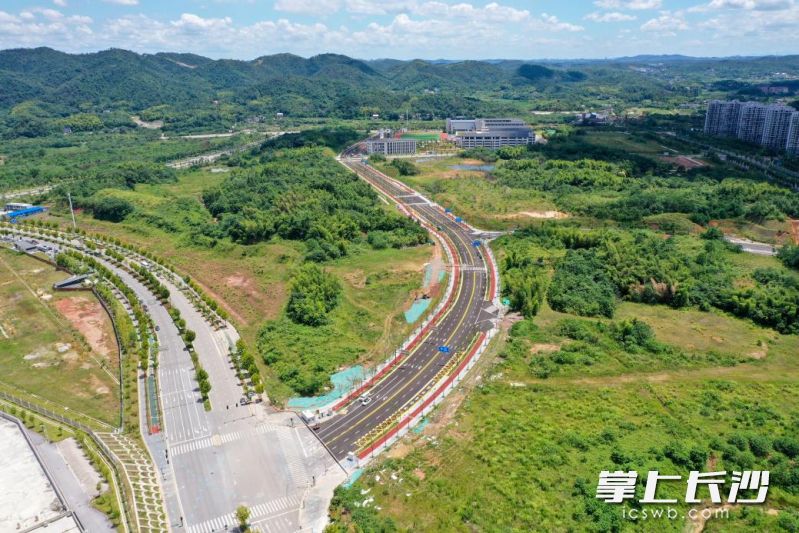 玫瑰路建成达到通车条件。   均为长沙晚报通讯员 胡翔 摄