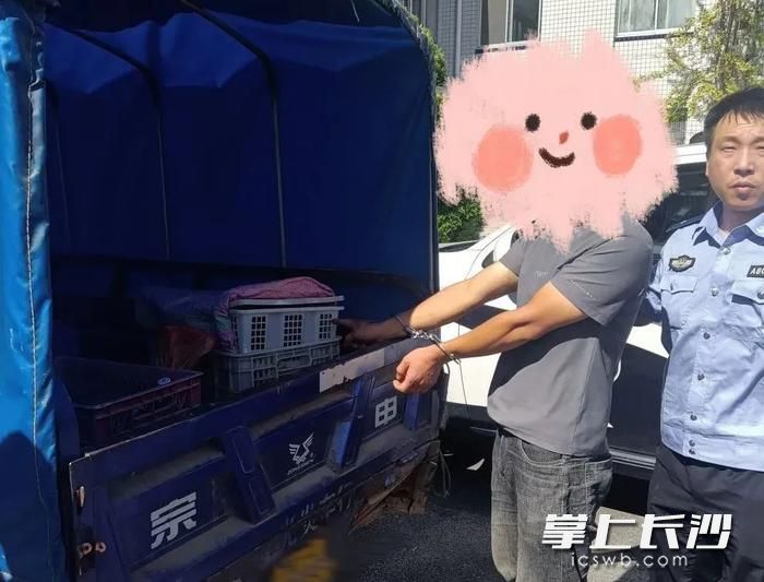 嫌犯陈某被公安部门刑事拘留。警方供图