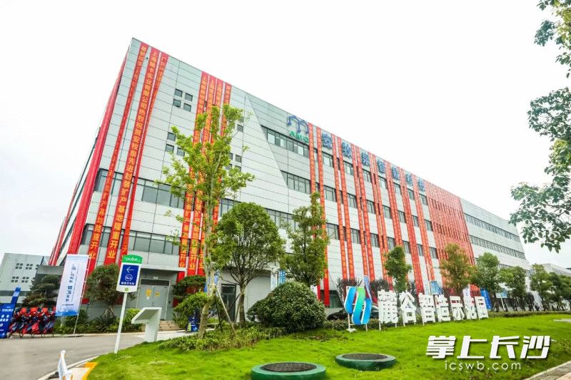 6月13日，长沙安牧泉智能科技有限公司先进封装基地的正式启用。长沙晚报通讯员 朱莉 供图