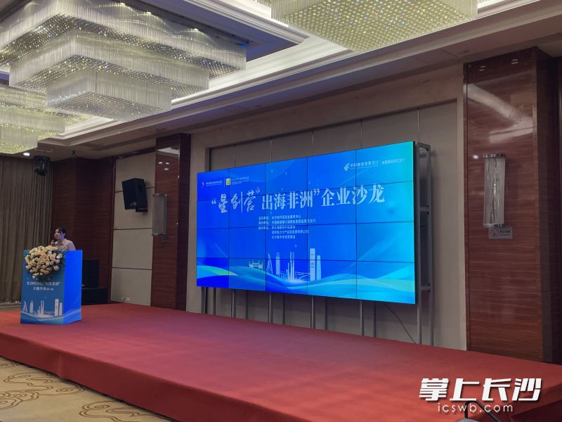 星创营·长沙经开区“出海非洲”主题沙龙现场。  长沙晚报全媒体记者 朱泽寰 摄