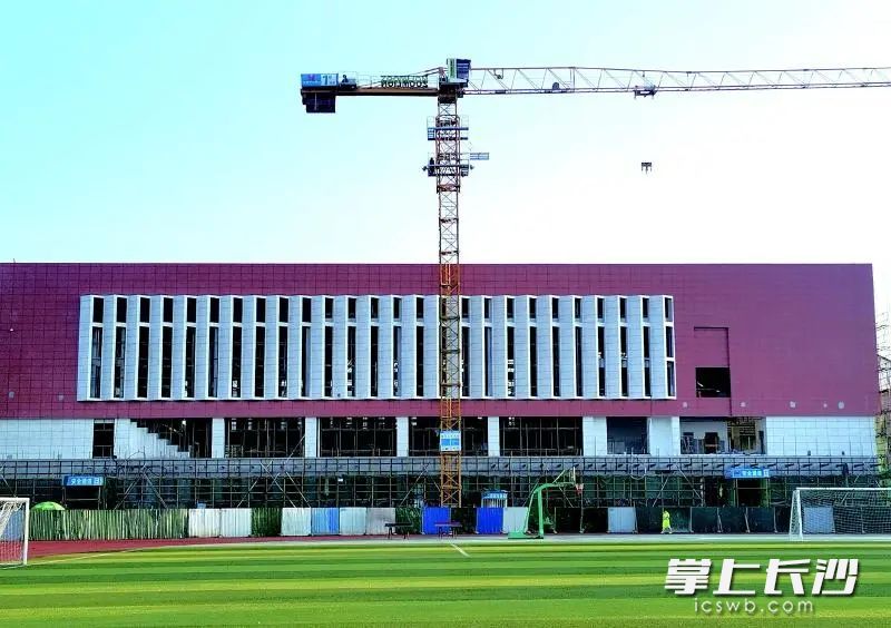 浏阳三中“特立体艺馆”项目建设现场。浏阳三中供图