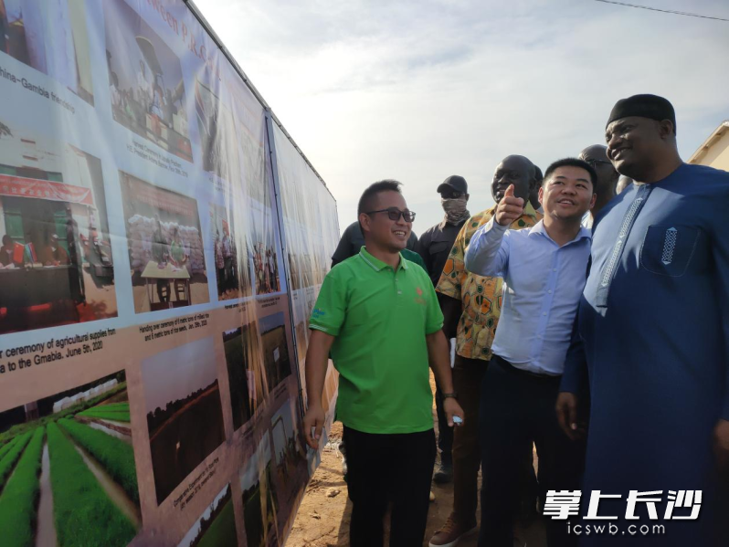 隆平高科项目组介绍援外项目取得的丰硕成果。  均为受访方供图