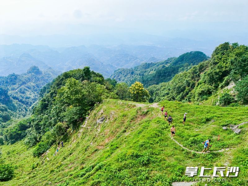 登山赛。