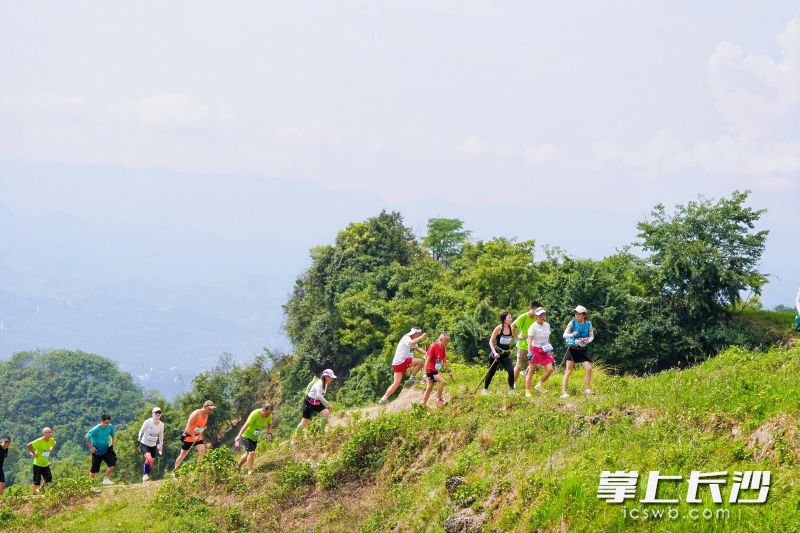 登山赛。