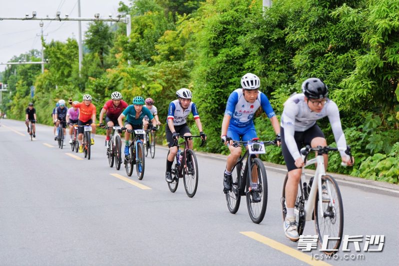 选手在比赛中。 选手在比赛中。