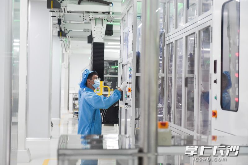湖南德赛电池有限公司员工在工作。长沙晚报全媒体记者 邹麟 摄