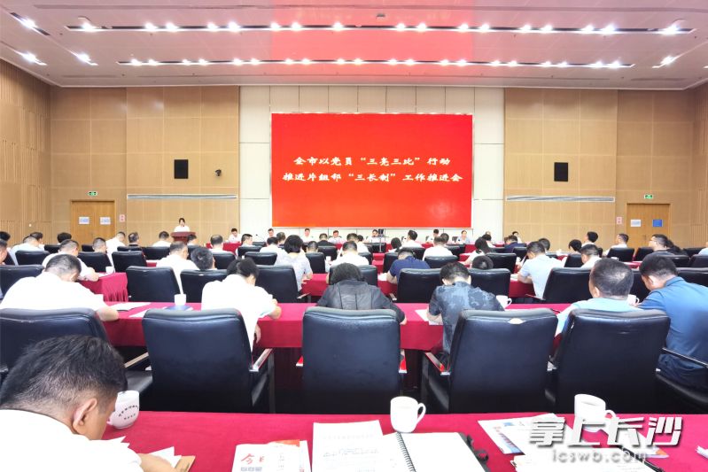 宁乡市召开以党员“三亮三比”行动推进片组邻“三长制”工作推进会。  长沙晚报全媒体记者 张禹 摄
