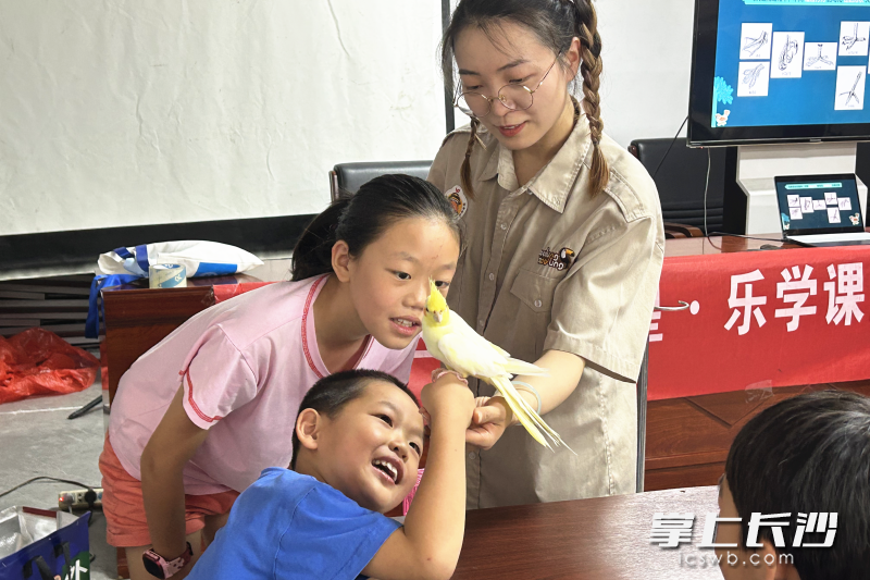 现场的两只小鸟成了最受欢迎的“朋友”。通讯员 谭征凯 摄 现场的两只小鸟成了最受欢迎的“朋友”。通讯员 谭征凯 摄