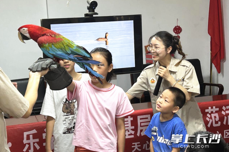 和小鸟朋友相处之后,孩子们都表示要好好爱护大自然。 和小鸟朋友相处之后,孩子们都表示要好好爱护大自然。