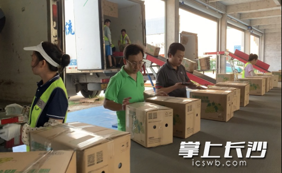 湖南顺丰今年在澧县设置了63个揽收点。均为通讯员供图