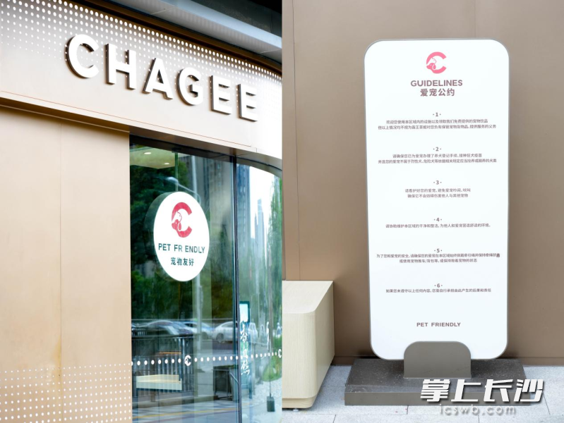 霸王茶姬宠物友好门店。长沙晚报全媒体记者　周辉霞摄
