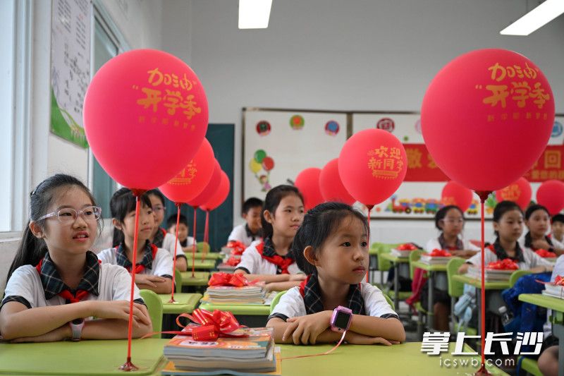 今日上午，开福区新竹第二小学，学生在喜庆的氛围里报到，迎来新学期。 均为长沙晚报全媒体记者王志伟、通讯员刘艳丽摄