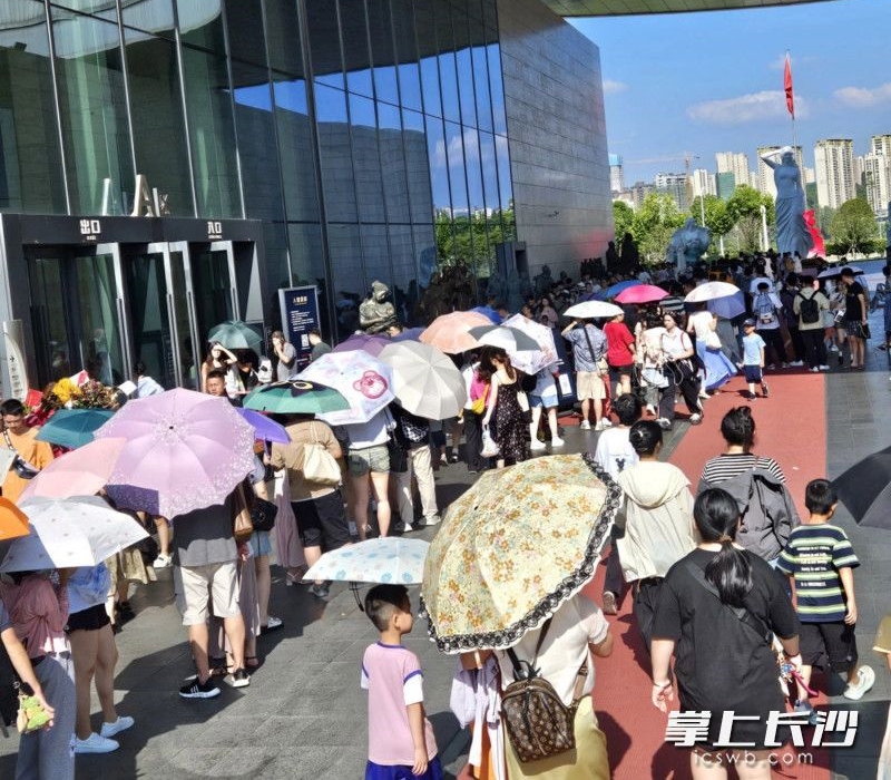 参观者入场现场。