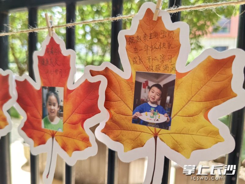 枫叶造型小卡片上，写满家长们对一年级新生的美好祝福。