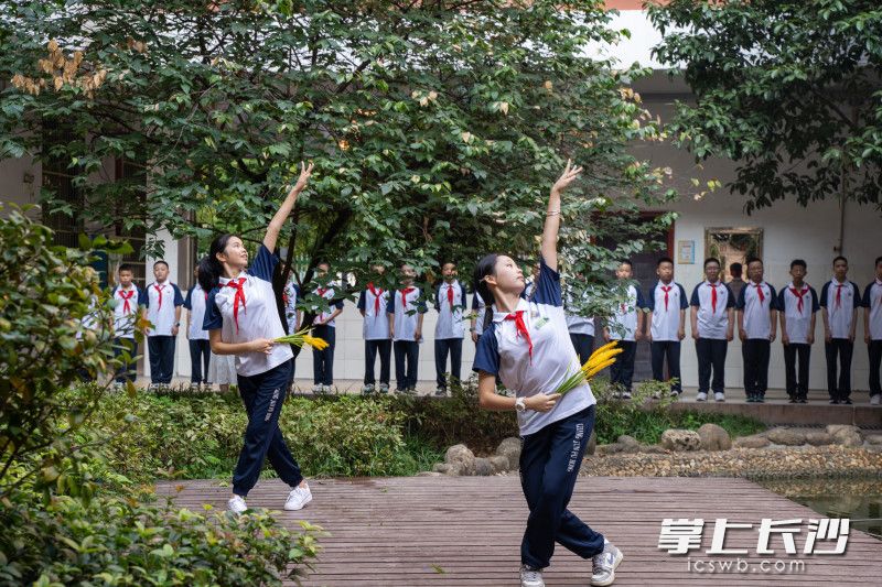 同学们手持丰硕的水稻，脸上洋溢着青春的笑容，用饱满的热情和真挚的情感演绎《我和我的祖国》这首经典歌曲。  均为长沙晚报全媒体记者冯启阳摄
